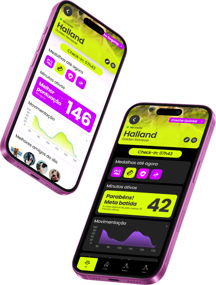 Dogship App Interface showing activity tracking and social features